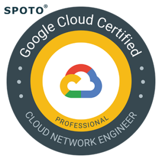 Professional-Cloud-Network-Engineer Excellect Pass Rate